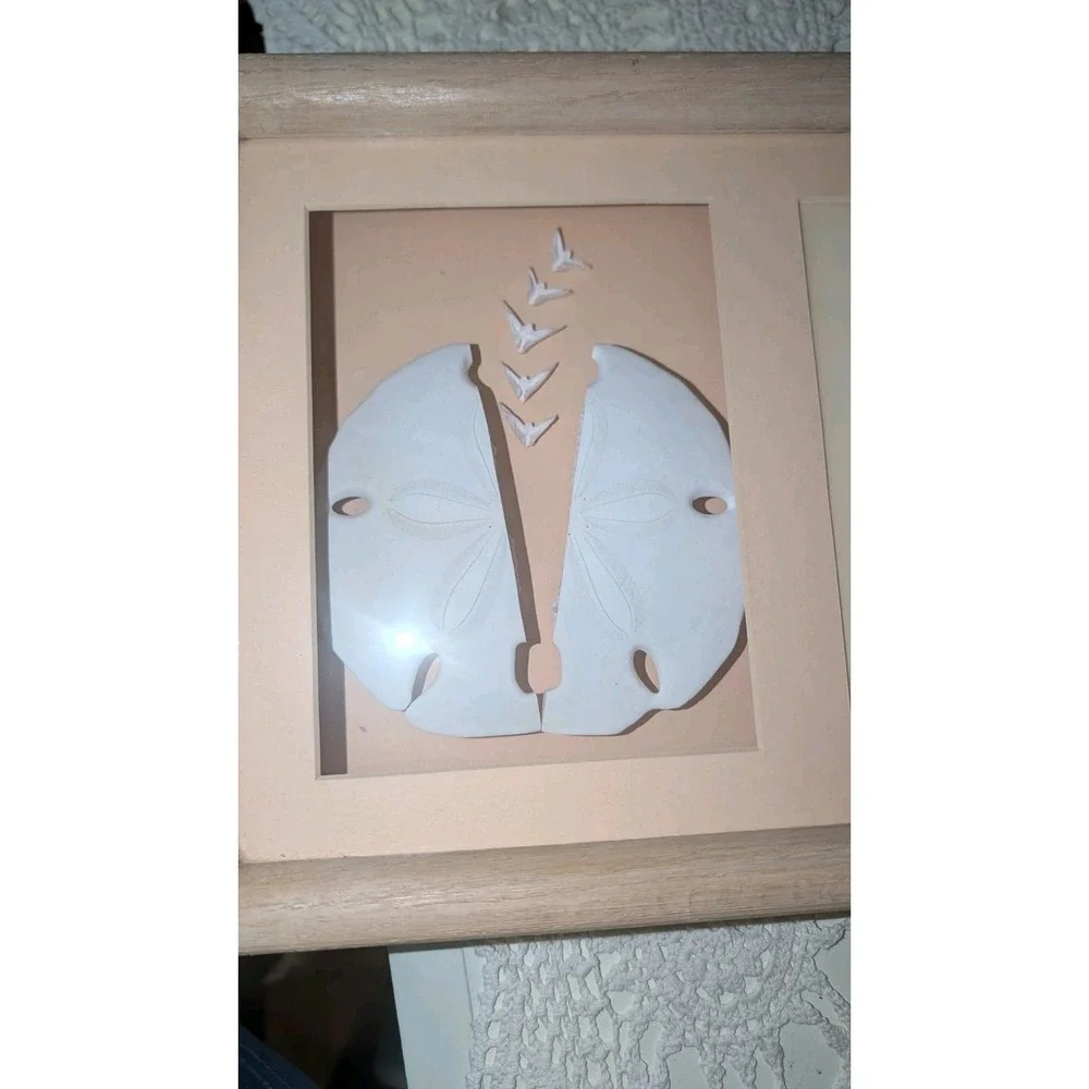 Large Vintage Legend Of The Sand Dollar Shadow Box Framed Doves of Peace 9